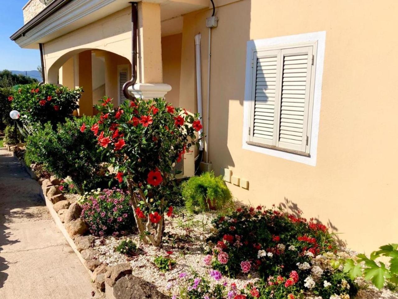 Appartement Casa Dolce Hibiscus à Olbia Extérieur photo