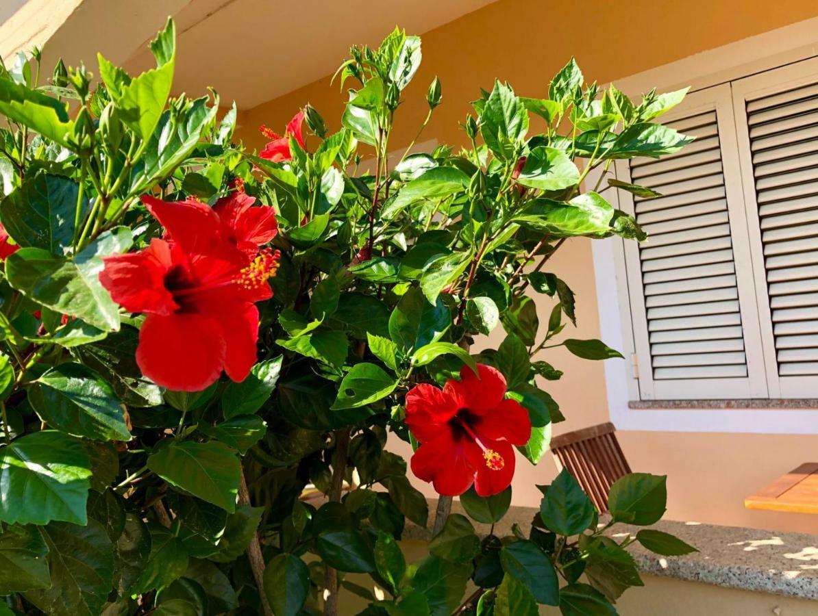 Appartement Casa Dolce Hibiscus à Olbia Extérieur photo